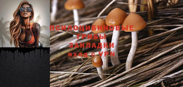 метамфетамин Щигры