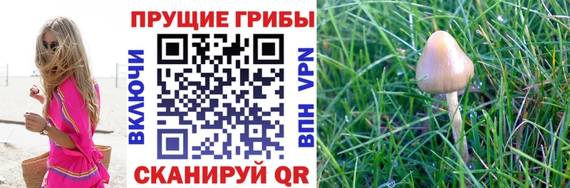 Галлюциногенные грибы ЛСД  Нижний Новгород 