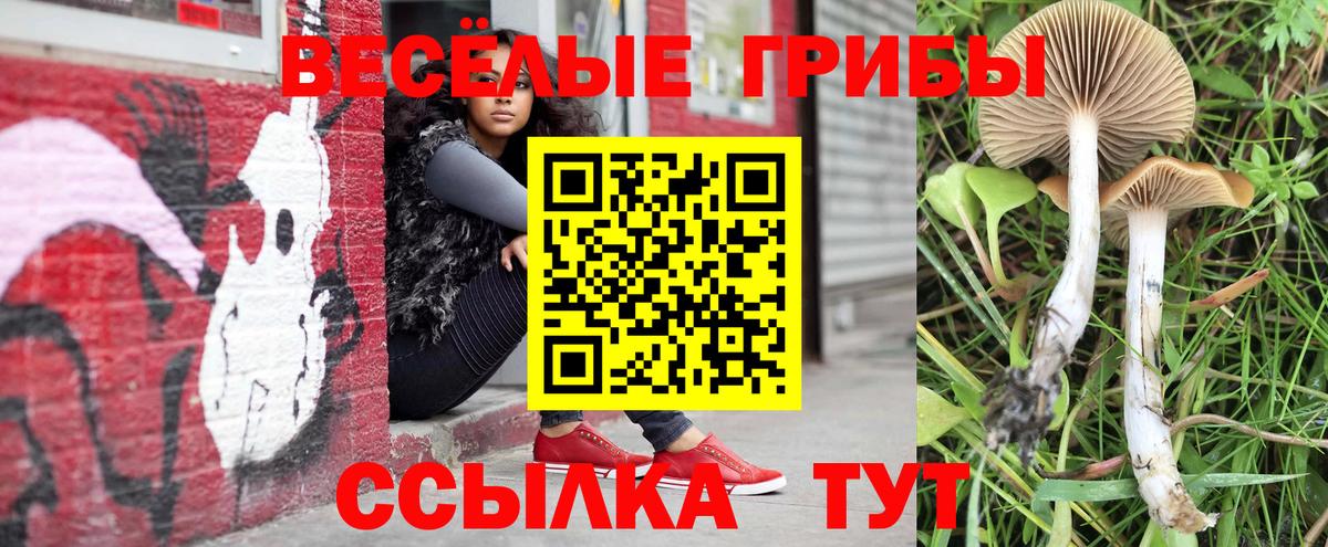 Псилоцибиновые грибы прущие грибы Нижний Новгород