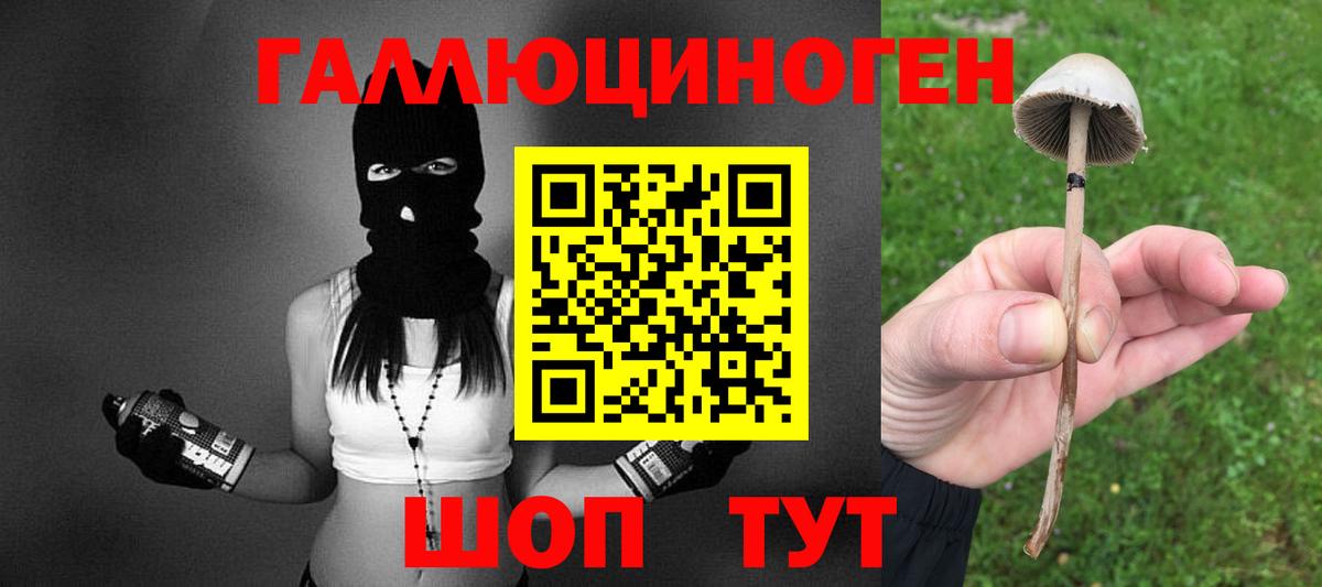 Галлюциногенные грибы Psilocybine cubensis Нижний Новгород