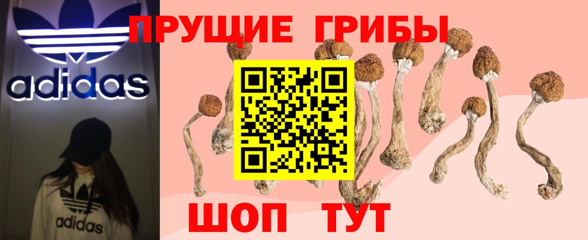 Галлюциногенные грибы мухоморы  Вход с VPN  Нижний Новгород 
